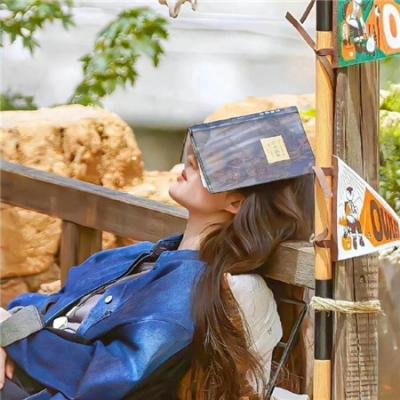 在黑暗中讲述的恐怖故事 海报